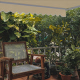 Aleko Caribbean Manual Retractable Patio Awning - Desert Sand - 10 x 8 Feet